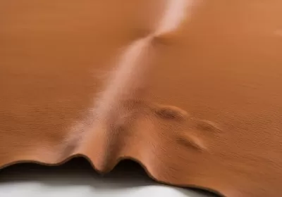 Imagen PNG para descargar